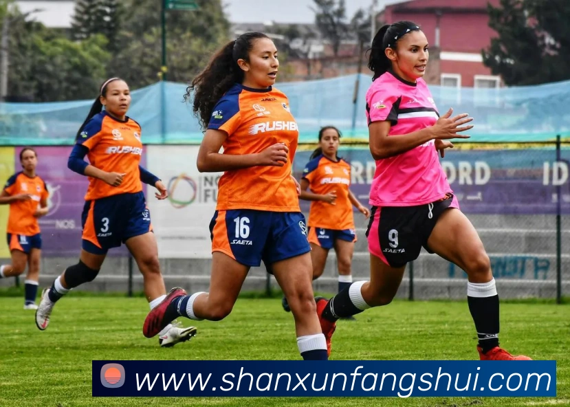 体育App